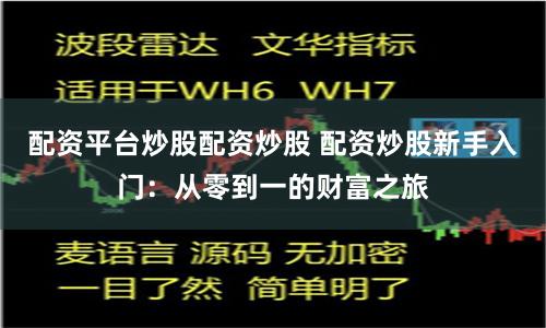 配资平台炒股配资炒股 配资炒股新手入门：从零到一的财富之旅