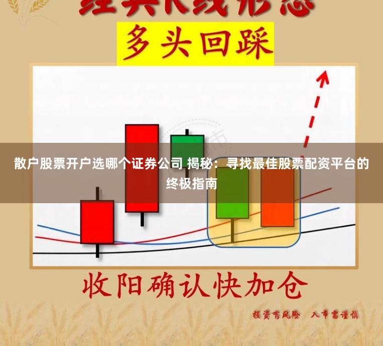 散户股票开户选哪个证券公司 揭秘：寻找最佳股票配资平台的终极指南