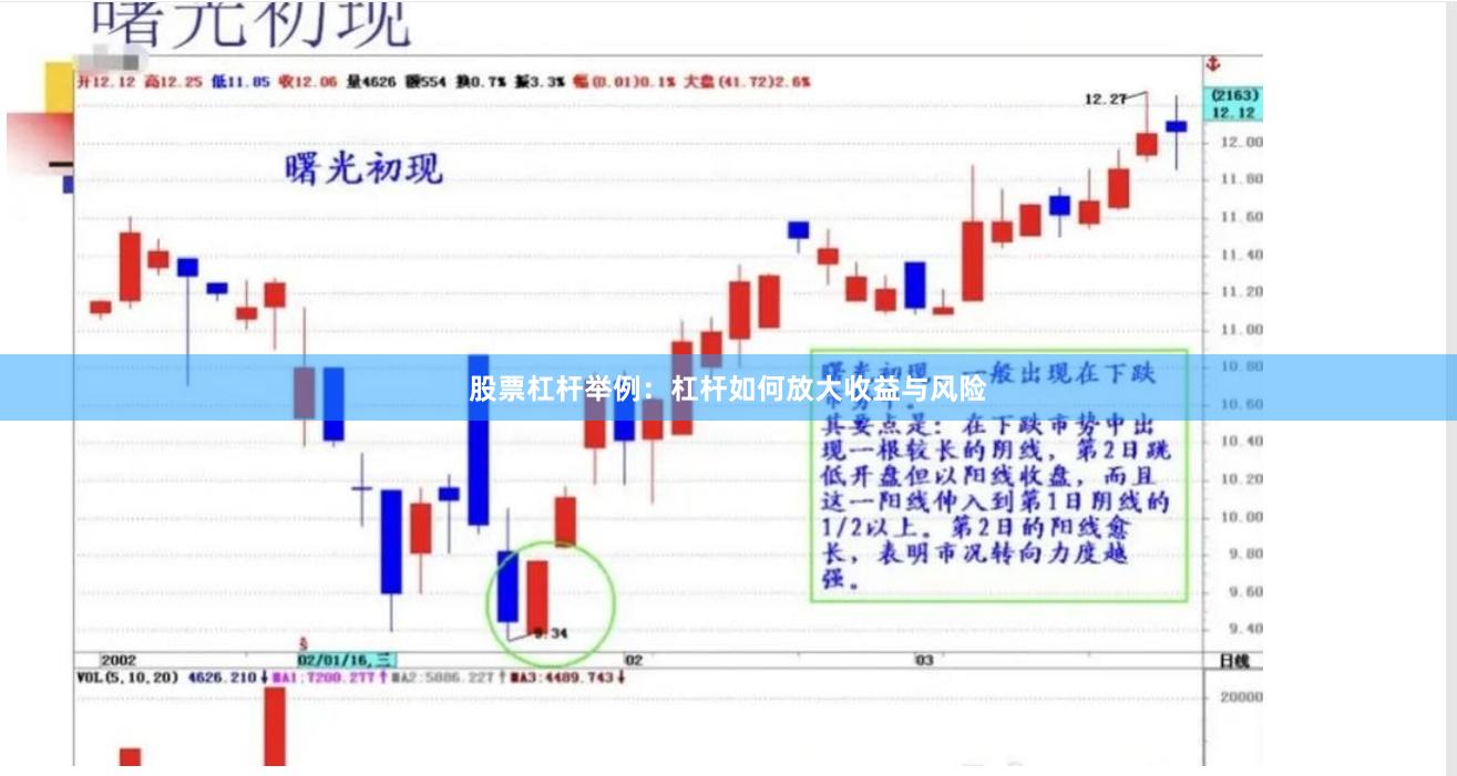 股票杠杆举例：杠杆如何放大收益与风险